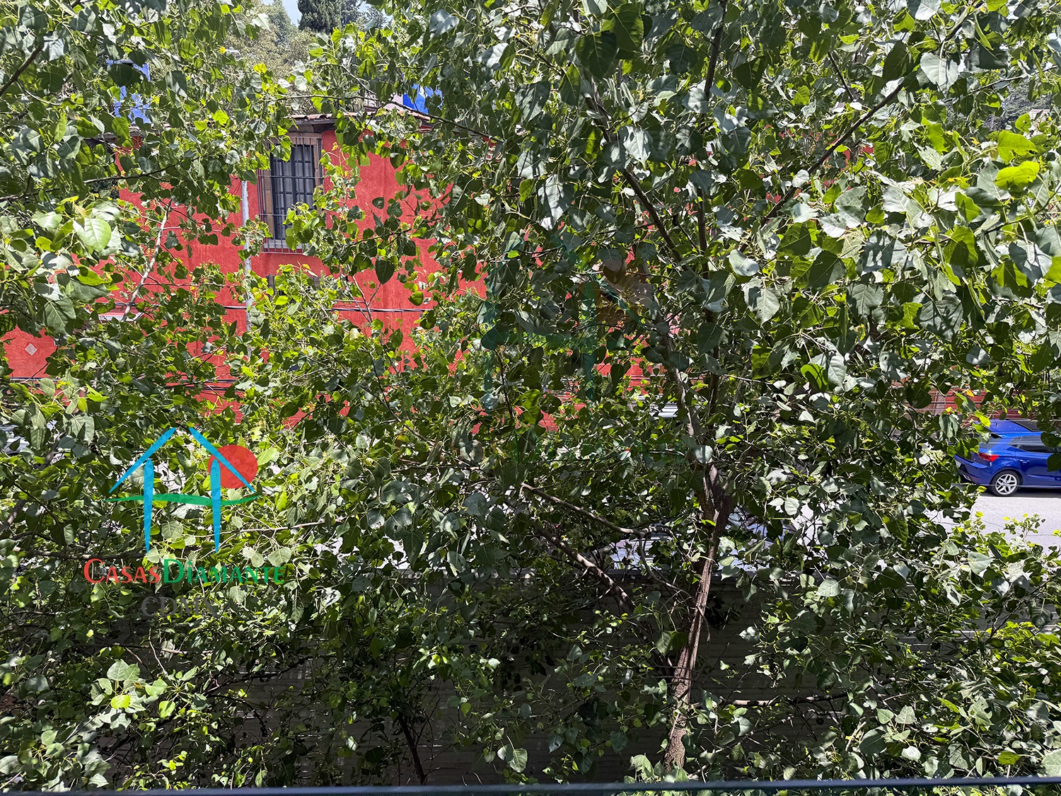 Las Aguilas Ursus BJB - Recámara uno 7